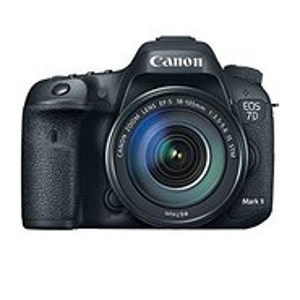 Canon EOS 7D Mark review