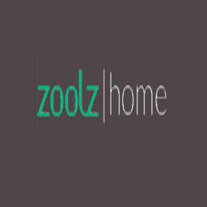 Zoolz Home Review