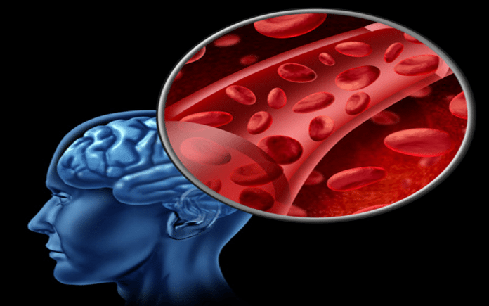 Great Ways to Stimulate Blood Flow from the Brain