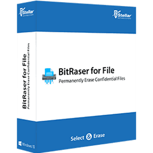 BitRaser for File Review