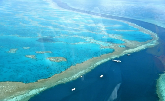 Amazing_Great_Barrier_Reef 