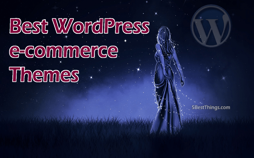 Best WordPress Ecommerce Themes