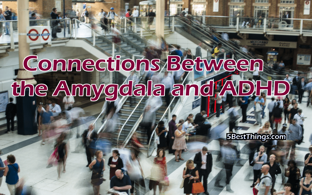 Connections Between the Amygdala and ADHD