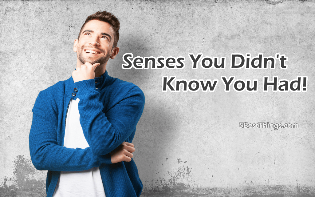 Senses You Didn't Know You Had