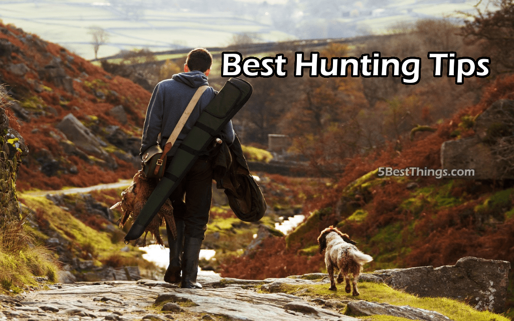 Best Hunting Tips