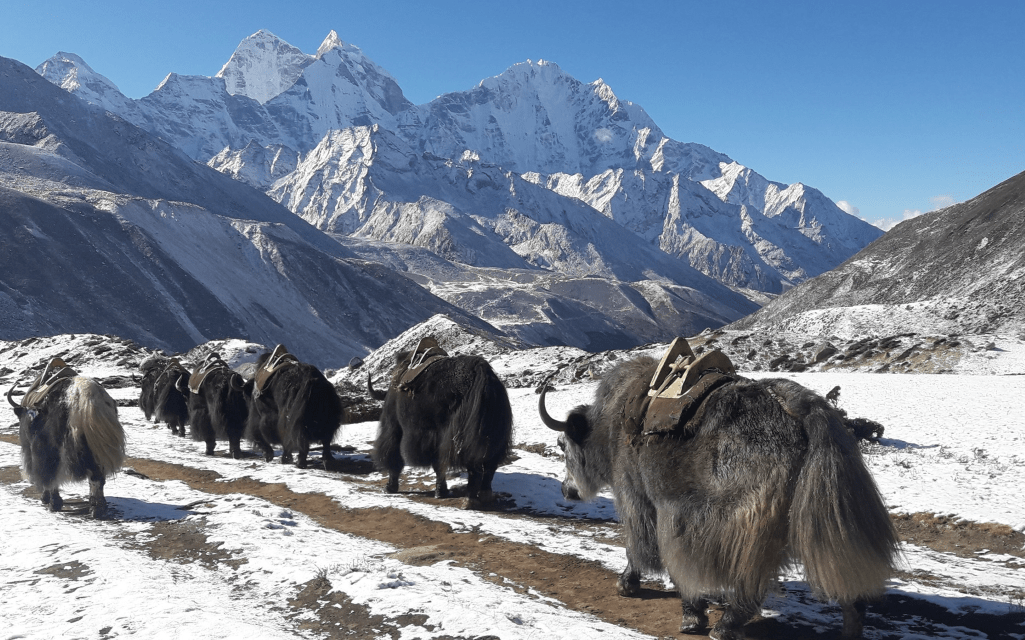 Things To Do In Nepal