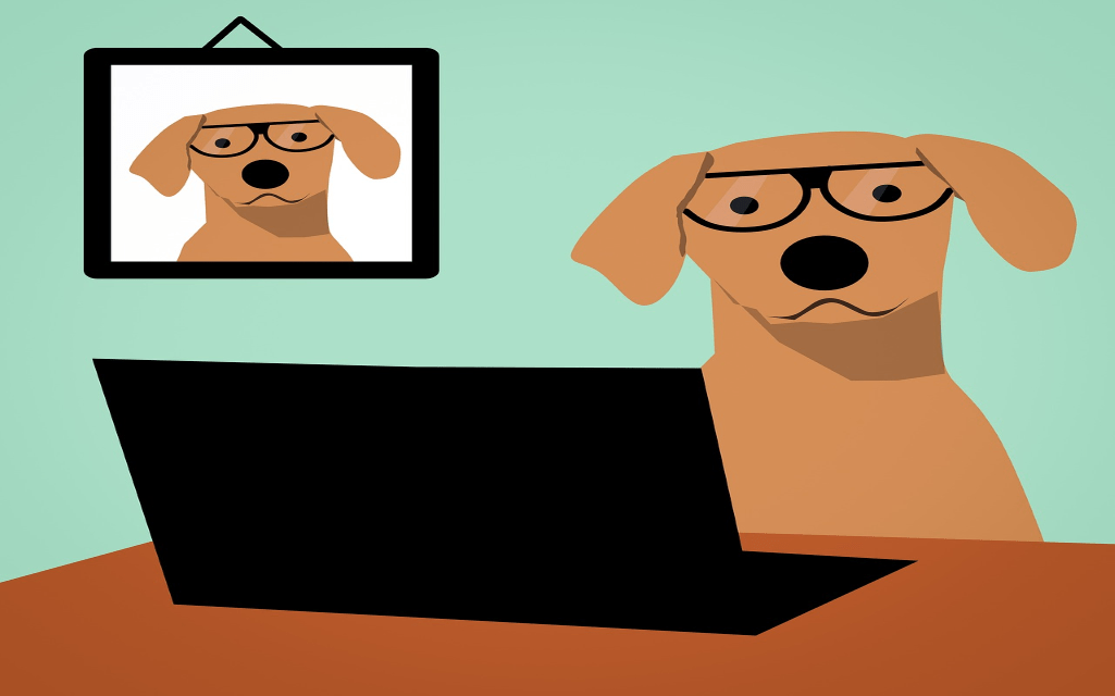 Things You Should Do before Taking Your Dog to Work