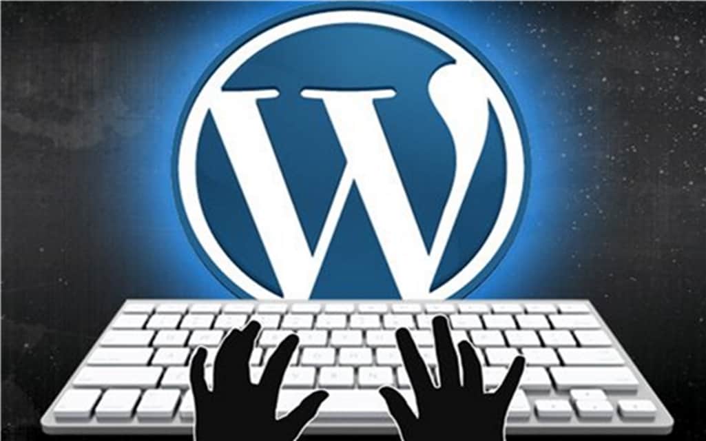 WordPress popular with businesses