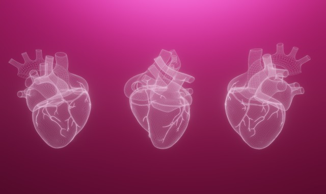 3D Human heart