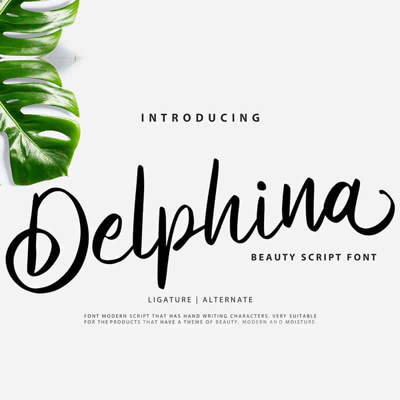 Delphina | Beauty Script Font Font