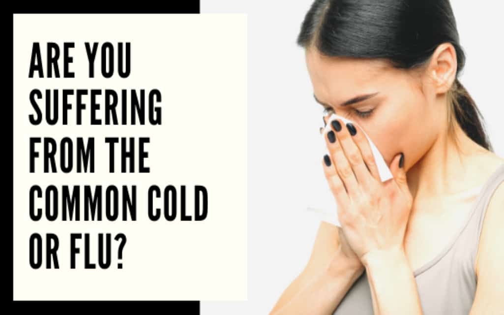 common cold or flu