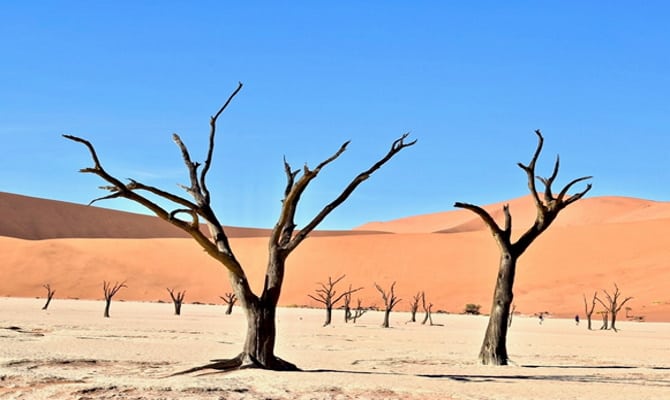 The Kalahari Desert