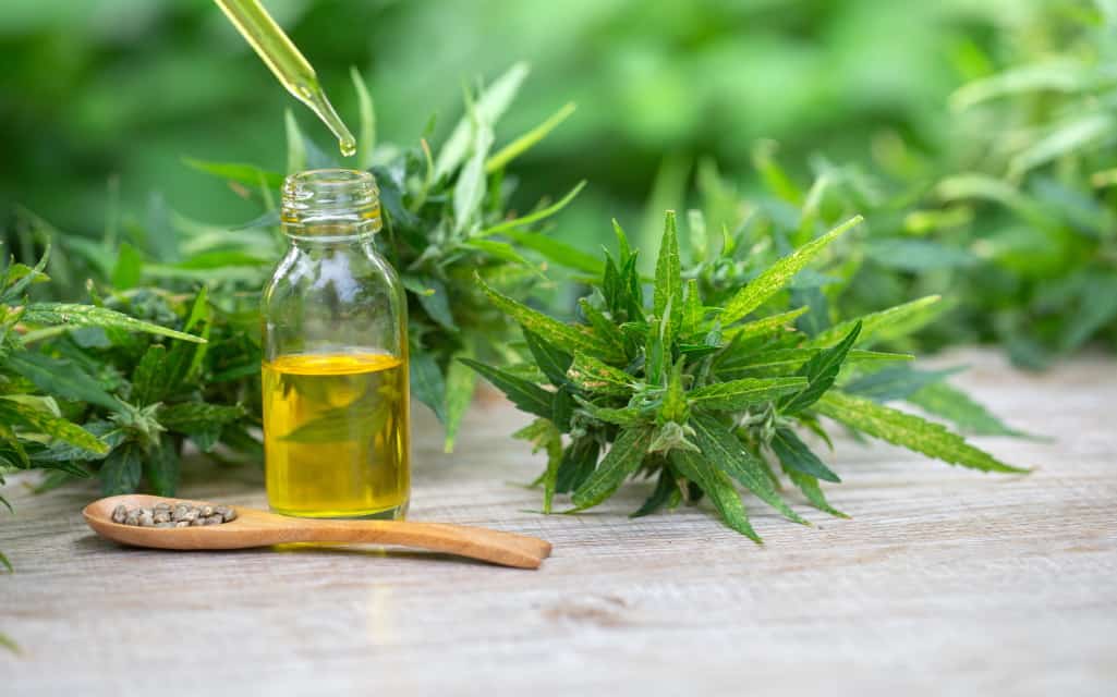 Why Are People Using CBD Oil More Often