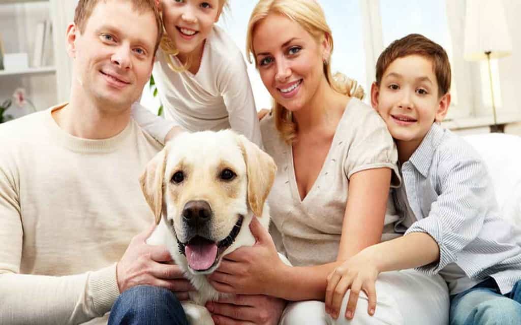 Best Dog Breeds for The Family