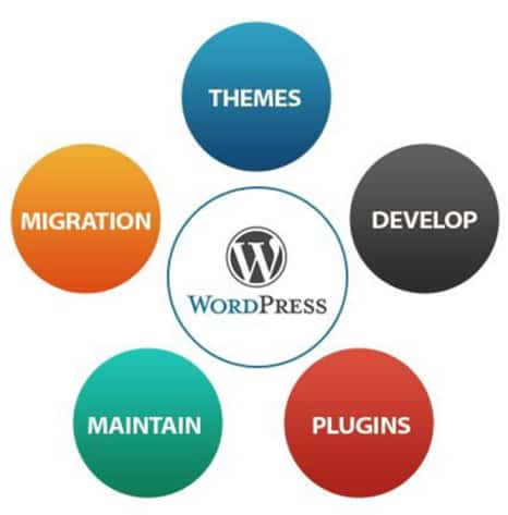 Simple Steps To Create Business Website With WordPress