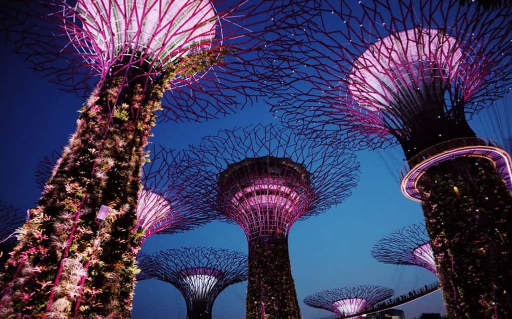 Become an Expat in Singapore