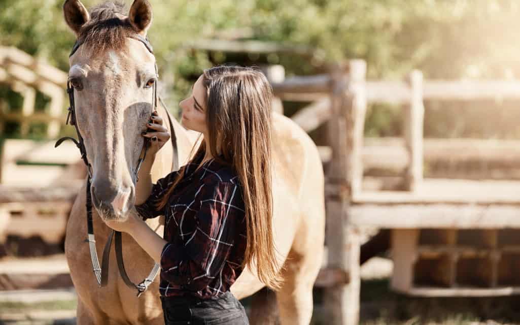 Top Tips On Horse Care