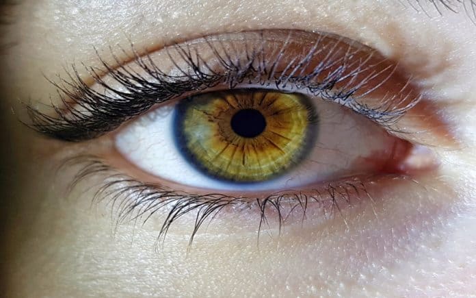 5 Best Things About Taking Care Of Your Eyes