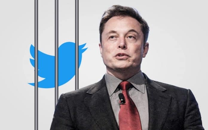 Elon Musk brought Donald Trump back to Twitter with a simple tweet