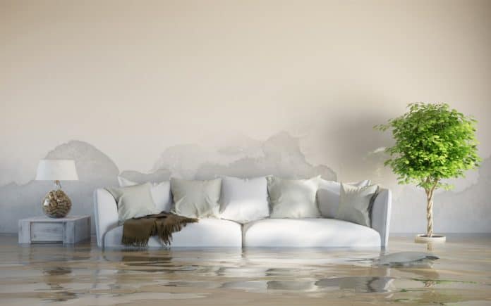 Steps To Prevent Mold Breakout After A Flood