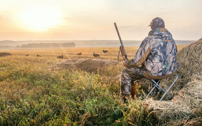 Things to Bring With You When Going Turkey Hunting