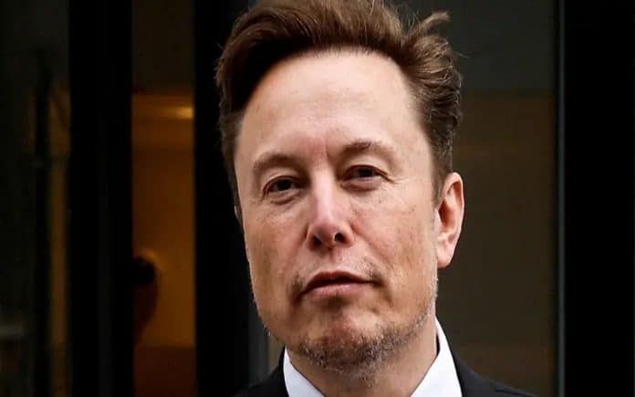 GBT Truth is Musk weapon to confront Microsoft and Google